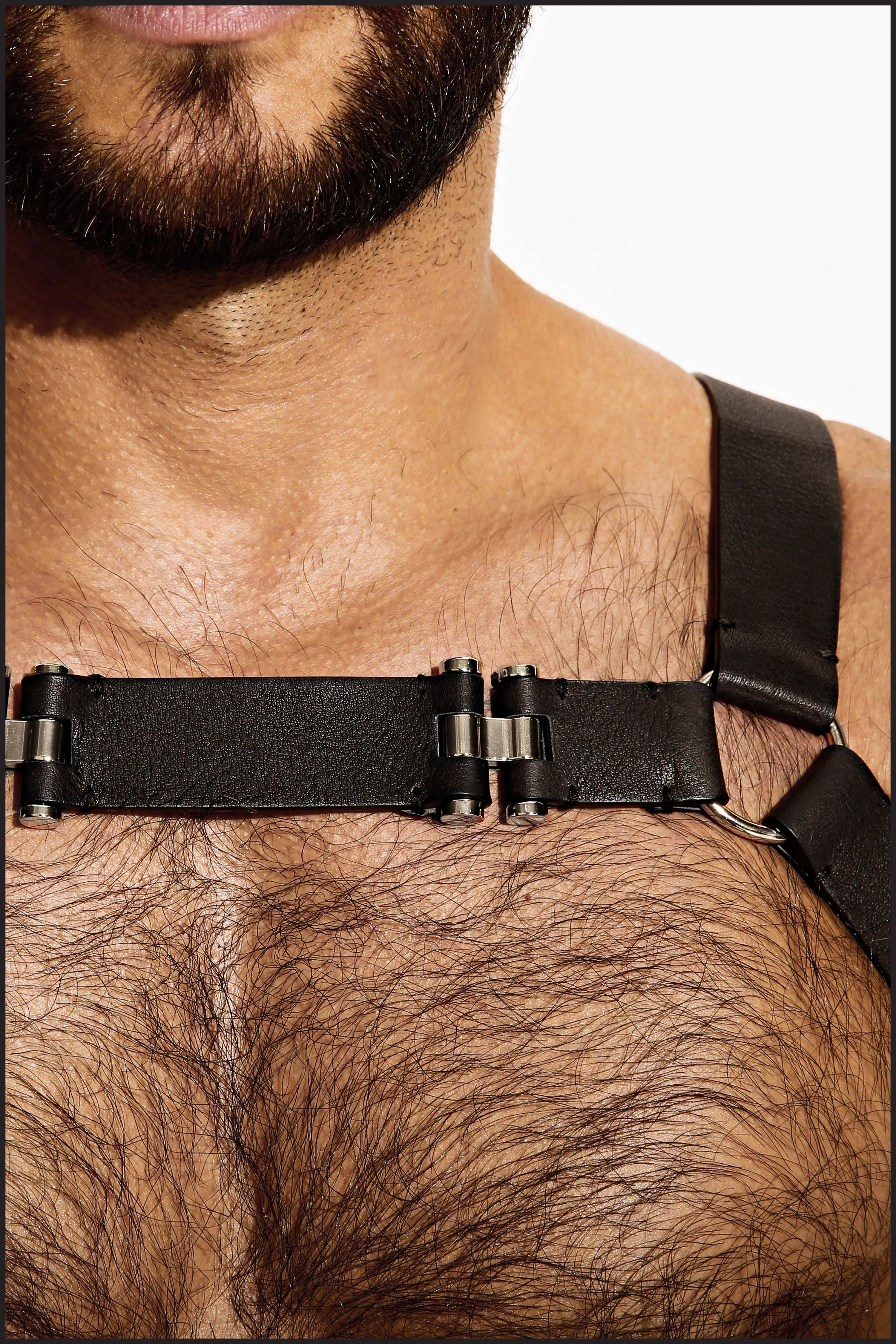 LE Top Harness Chest